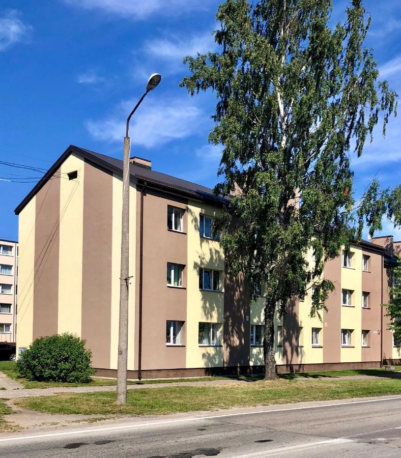 Majigs Dzivoklis Salacgriva Exterior photo